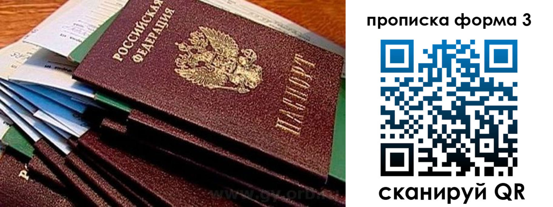 прописка иностранных граждан в Сольцах