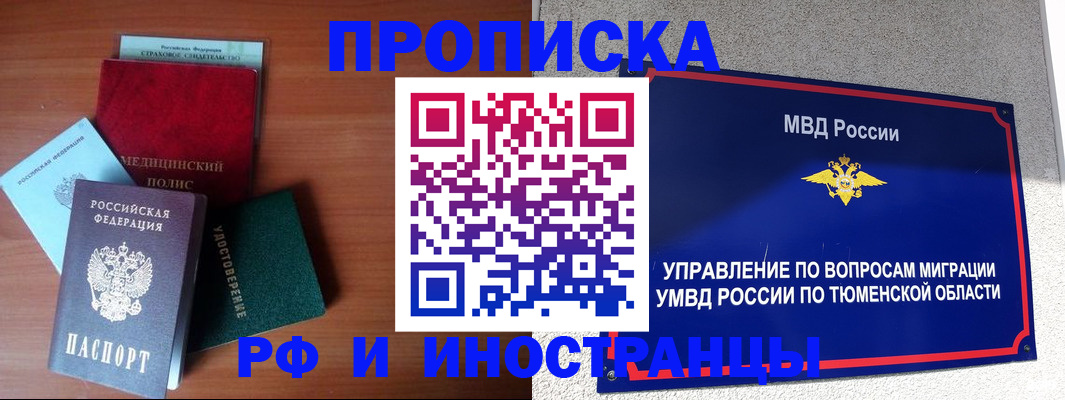 прописка в Сольцах